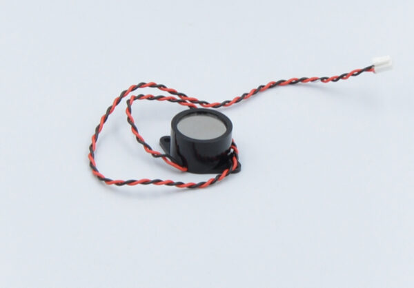 Buzzer